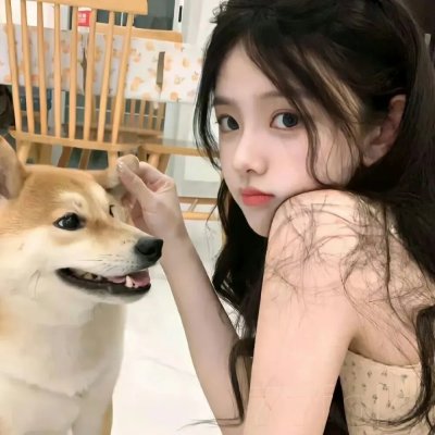 金牌间谍